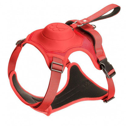 Pet Harness in 3 different colors